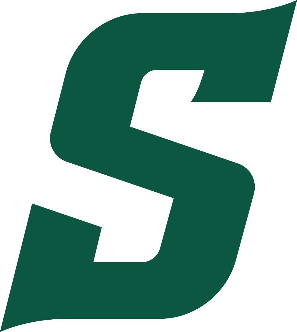Stetson Hatters 2018-Pres Alternate Logo diy iron on heat transfer